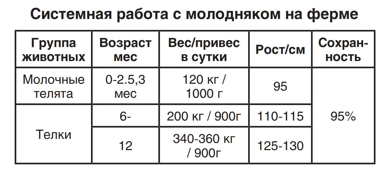 системная работа с молодняком на ферме